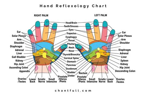 Download Hand Reflexology Revised  Expanded By Mildred Couter