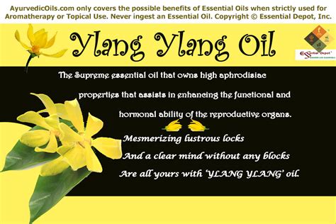 Handbook of essential oils cananga ylang ylang concrete a. - Volvo penta poppa unità servizio manuale gratuito.