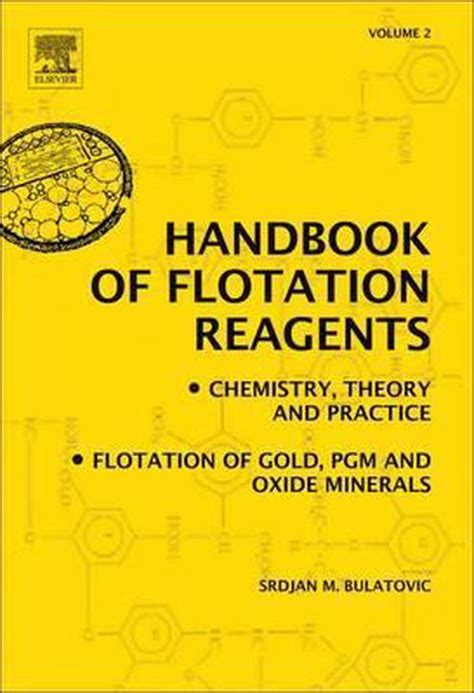 Handbook of flotation reagents chemistry theory and practice volume 2 flotation of gold pgm and oxide minerals. - The oxford handbook of information and communication technologies.