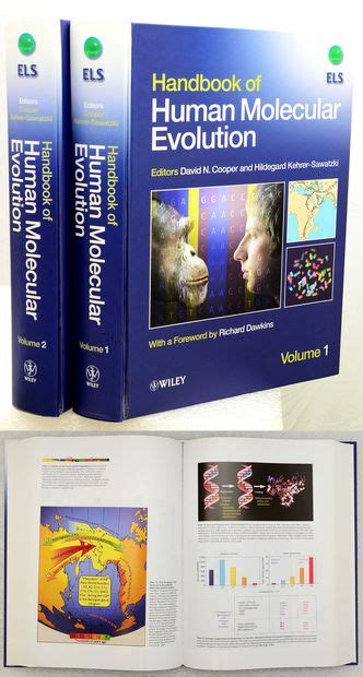 Handbook of human molecular evolution by david n cooper. - Lg 55lp860h 55lp860h za led tv service manual.