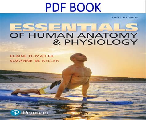 Handbook of human physiology 7th edition reprint. - Ged flash cards complete flash card study guide.