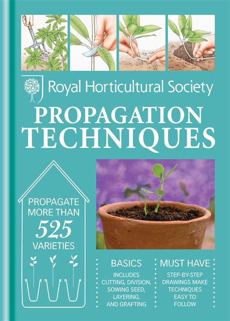Handbook of plants their propagation and improvement. - Dirk van gelder tekeningen en prenten..