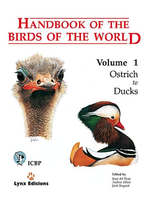 Handbook of the birds of the world volume 1 ostrich to ducks handbooks of the birds of the world. - 1997 2004 kawasaki mule 550 utility vehicle service manual supplement factory.