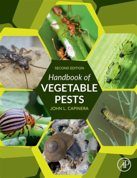 Handbook of vegetable pests by john capinera. - Panasonic sa bx500 bx500pp service manual repair guide.