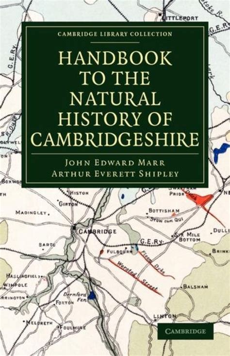 Handbook to the natural history of cambridgeshire by john edward marr. - Beautiful mosaic flowers a step by step guide art and.