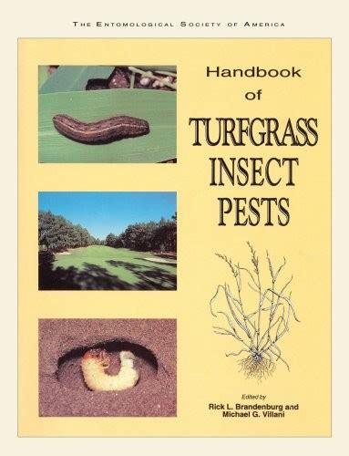 Full Download Handbook Of Turfgrass Insect Pests A Guide To Successful Insect Pest Management By Brandenburg