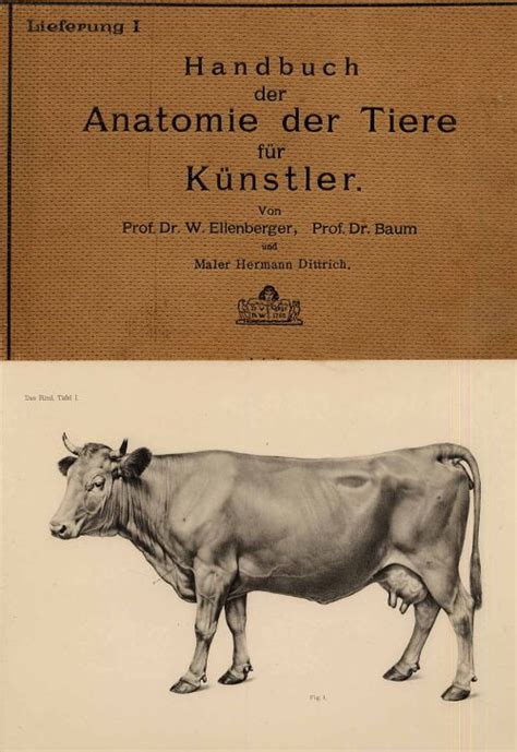 Handbuch der anatomie der tiere für künstler. - Guida allo studio della sindrome mielodisplastica a fuoco rapido.