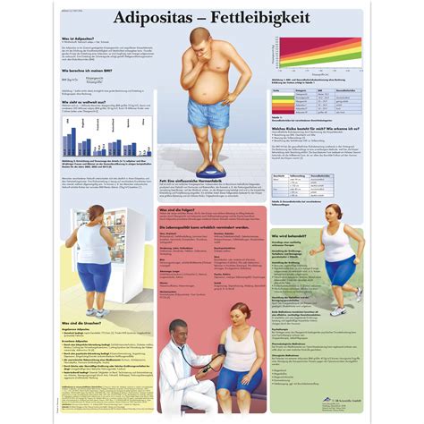 Handbuch der fettleibigkeit volumen 2 von george a bray. - T31 nissan x trail manual de taller.