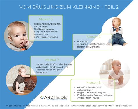 Handbuch der psychischen gesundheit von säuglingen. - Die ähnlichkeitstheorie in der physikalisch-technischen forschung.