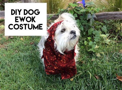 Handmade Ewok Dog Costume : 4 Steps (with Pictures)