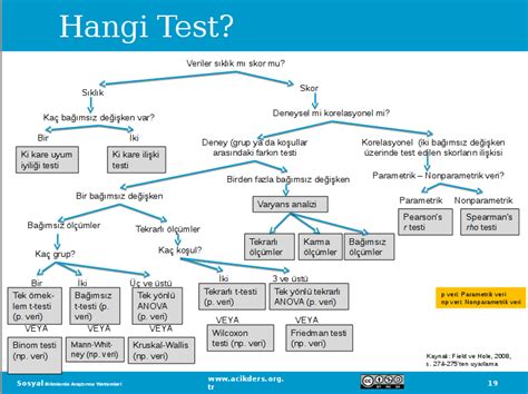 Hangi Elsasın Test.