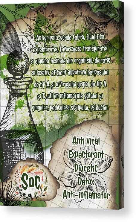 Hanging pussylips naturist. com. sanctionedsuicide. www. com www.  <a href=https://kod...