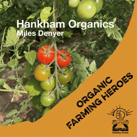 Hankham Organics - Cylex