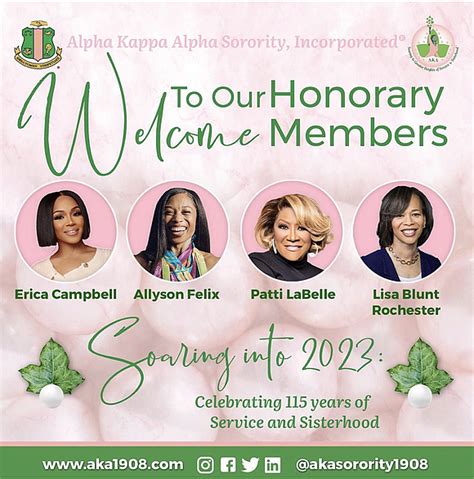 Hankins v. Alpha Kappa Alpha Sorority, Inc., 447 F. Supp. 3d …