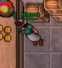 Hanna - Tibia Wiki