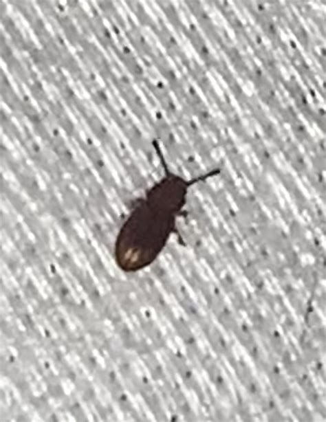 Hannahbabie Onlyfans Leak XxX 🍆 156 Vids