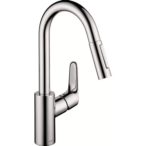 Hansgrohe Focus Single-Handle Pull-Down Sprayer …