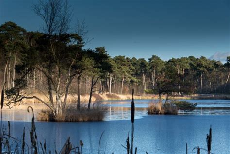 🔥 Hansjolie Leaks [SEX VIDEO]