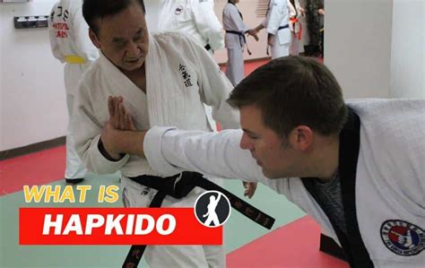 Hapkido organizations. .  <a href=https://bq.onyxtec.io/assets/images/u8udd...