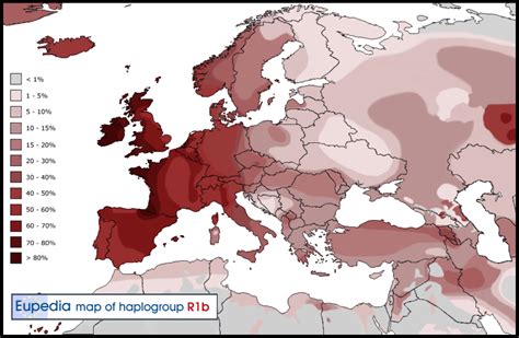 Haplogroup nedir