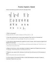 HaploidDiploid Practice