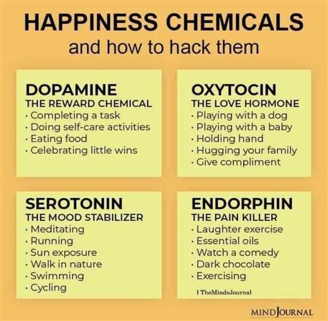 Happines Chemicals #motivation #shorts - YouTube