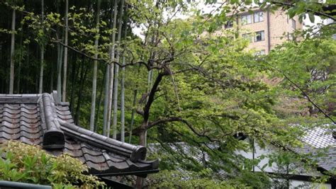 Happo-en: A Small but Beautiful Haven in Central Tokyo