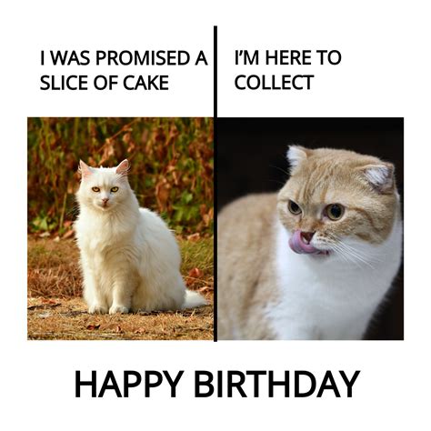 Happy Birthday Meme Templates - Images Template.net