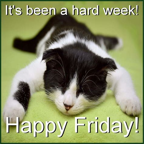 Happy Friday!!! #hotlanta - Top Line Motorsports Facebook