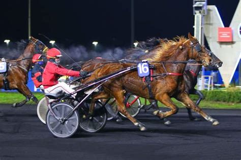 Happy Nonantais - fiche Cheval - Prix Cassard.