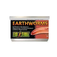 Happy Pet Place Game. 