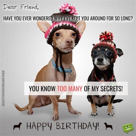 Happy birthday dear friend meme. Happy birthday! 6. I hope your birthday is more than epic, although you're pretty epic all year long! 7. A birthday wish for you, may all your dreams come true! 8. To my dear friend who will ... 