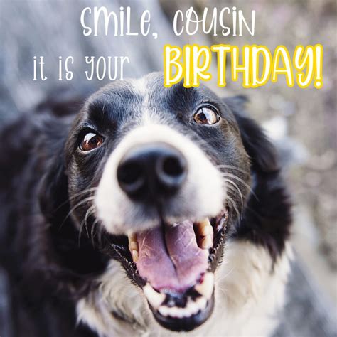 Happy birthday funny for cousin. Is it your cousin's birthday coming up? Well, get ready to bring on the laughter and celebrate in style because we've got the ultimate 65 happy birthday cousin funny - (Fun, Quirky, Cute) - GoodTimesBuzz 