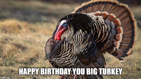 Happy birthday turkey hunter. Shop for the perfect happy birthday turkey gift from our wide selection of designs, or create your own personalized gifts. 