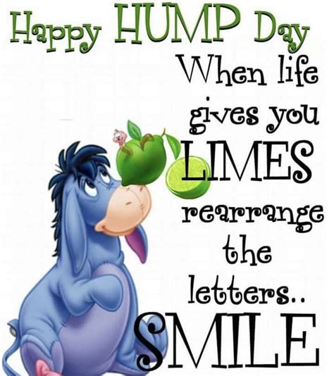 Get ready to laugh out loud with these hilarious Hump Day humor ideas. Find the perfect jokes and memes to make your Wednesday a little bit brighter..
