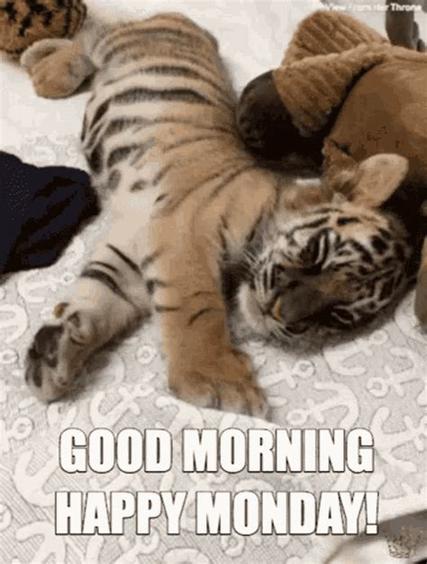 Happy monday gif positive. Things To Know About Happy monday gif positive. 