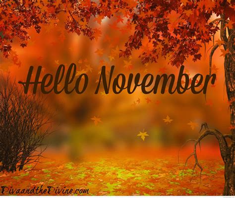 Happy november 1st gif. Things To Know About Happy november 1st gif. 