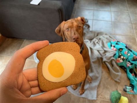 Happy Retales. · April 3, 2020 ·. Follow. Doctor Pickles enjoyed his first peanut butter & goats milk snack! Comments. Most relevant. Kelly Weaver Goddard. Dr. Pickles has grown so much...remember meeting him as a puppy! He loves his snack so much and needs another one!
