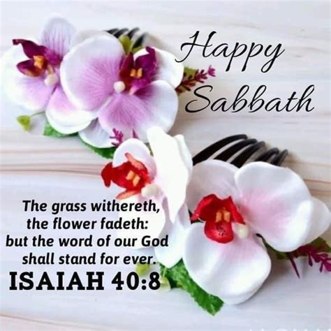 Happy sabbath images with flowers. Things To Know About Happy sabbath images with flowers. 