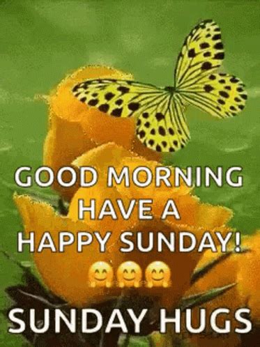 Happy sunday animated gif. With Tenor, maker of GIF Keyboard, add popular Sunday Animation animated GIFs to your conversations. Share the best GIFs now >>> 