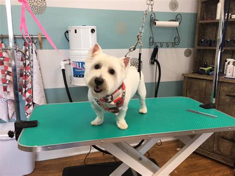Happy Tails Dog Grooming, Jacksonville, Florida. 62 likes · 22 were here. Full service grooming salon. For more than 25 years we have provided expert grooming and pet care services using only.... 