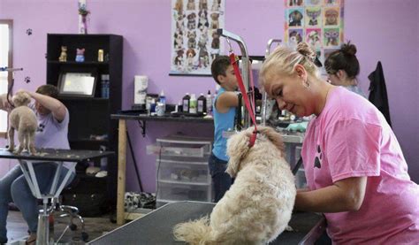 Happy tails pet grooming. About Happy Tails Pet Resort. Our resort offers boarding, daycare and grooming on a two-acre site in Cedar Park serving Central Texas. The controlled-climate facility includes 127 standard suites and 25 luxury suites for dogs (most with private outdoor covered patios), a large open-air interior courtyard for group play, large outdoor high ... 