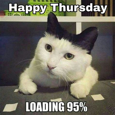 Happy thursday pictures funny. 15 Thursday Random And Funny Animal Memes For A Quick Pick Me Up As We Countdown To The Weekend - Funny Animal Memes and GIFs that are pure comedy gold. ... 36 Happy Snaps With a 100% Chance of Animal Memes To Warmly Welcome A Weekend Forecast of Overall Pawsitivity 3. 25 Pawsitively Wholesome ... 