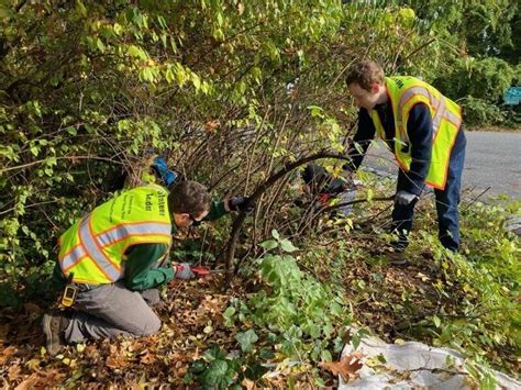 Happy trails: Volunteers tackle repairs along Mount Vernon Trail