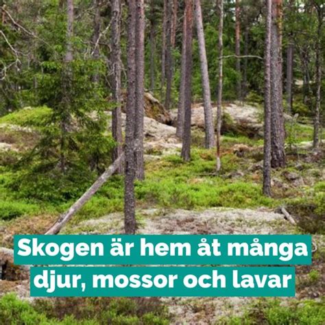 Har ringa att erbjuda