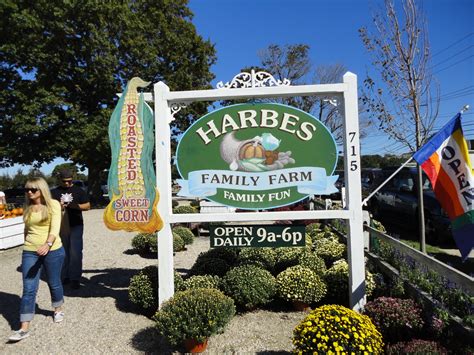 Harbes family farm. The Harbes Farm of Jamesport is a great place to bring the kids and family. The kids can enjoy hayrides, apple picking, a corn maze, a sunflower maze, bikes and playhouses. Try the delicious roasted corn, apple cider donuts, turkey legs, kettles corn, hot dogs, caramelized apples , apple cider and more. 