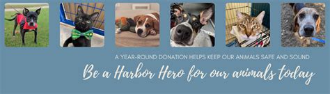 Harbor humane society. Little Traverse Bay Humane Society. 1300 W. Conway Rd., Harbor Springs, MI 49740. Contact Danielle Blasko. Email shelterpets@ltbhs.com. Phone (231) 347-2396. 