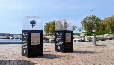 Harbourfront installation promoting brain health removed after vandalism, theft