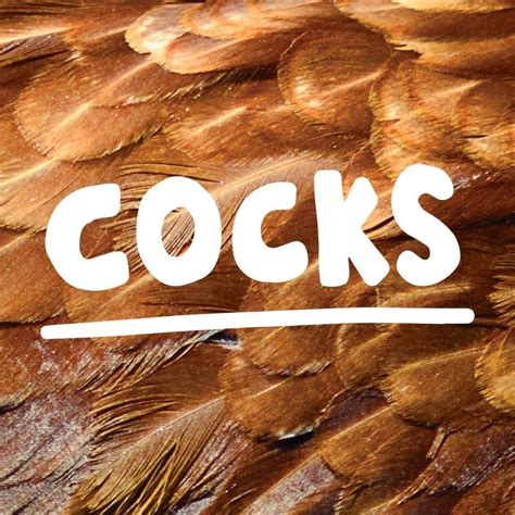 Hard Cocks