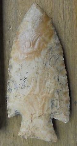 Hardin projectile point.  This point was found in West Tennessee.  The article ...